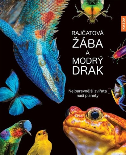 Obrázok Rajčatová žába a modrý drak - Nejbarevnější zvířata naší planety