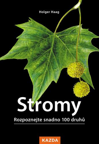 Obrázok Stromy - Rozpoznejte snadno 100 druhů