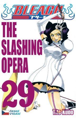 Obrázok Bleach 29