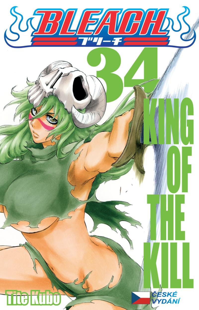 Obrázok Bleach 34