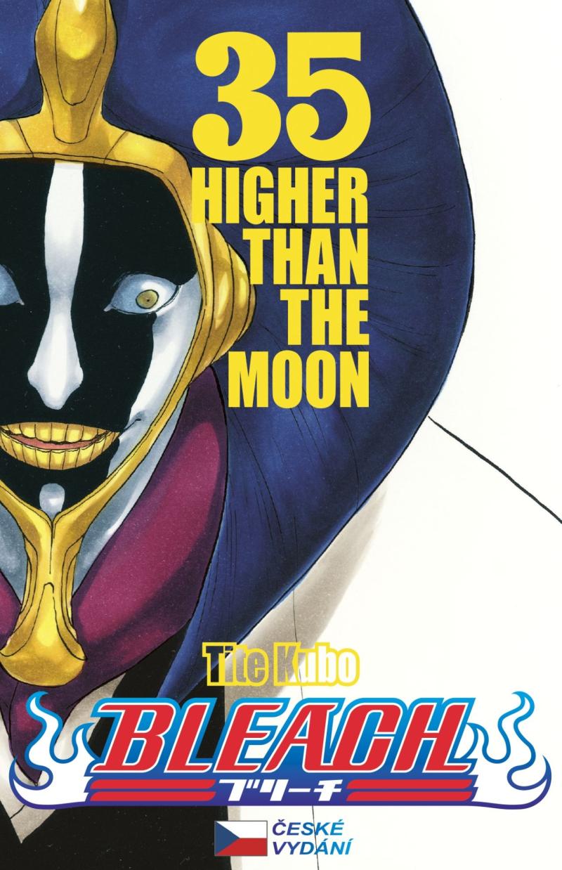 Obrázok Bleach 35