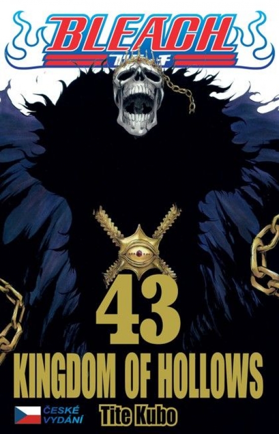 Obrázok Bleach 43: Kingdom of Hollows