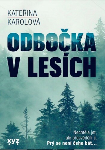 Obrázok Odbočka v lesích