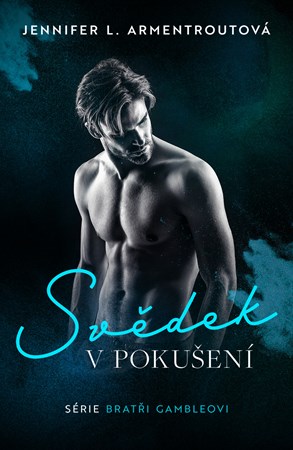 Obrázok Svědek v pokušení