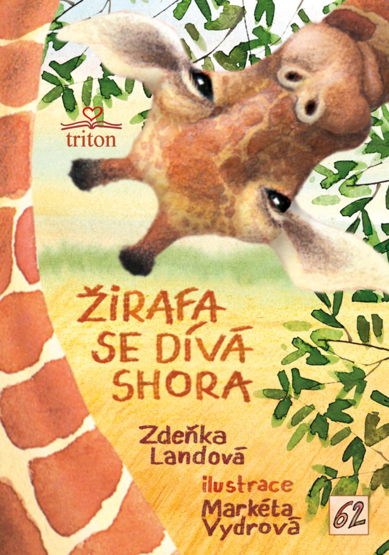 Obrázok Žirafa se dívá shora