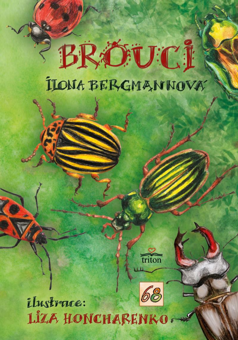 Obrázok Brouci