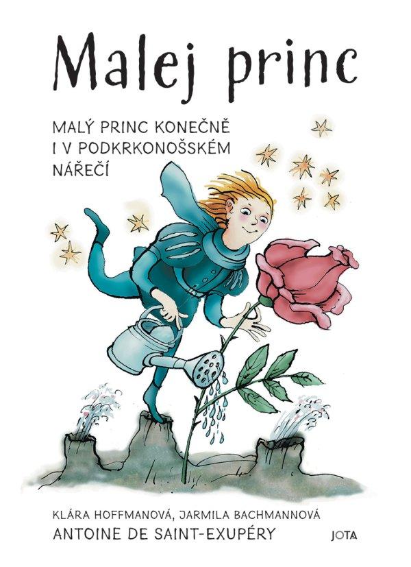 Obrázok Malej princ