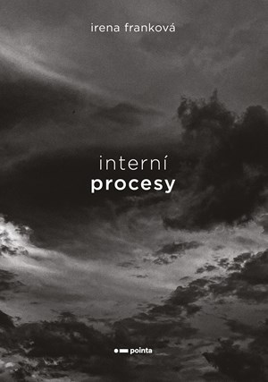 Obrázok Interní procesy