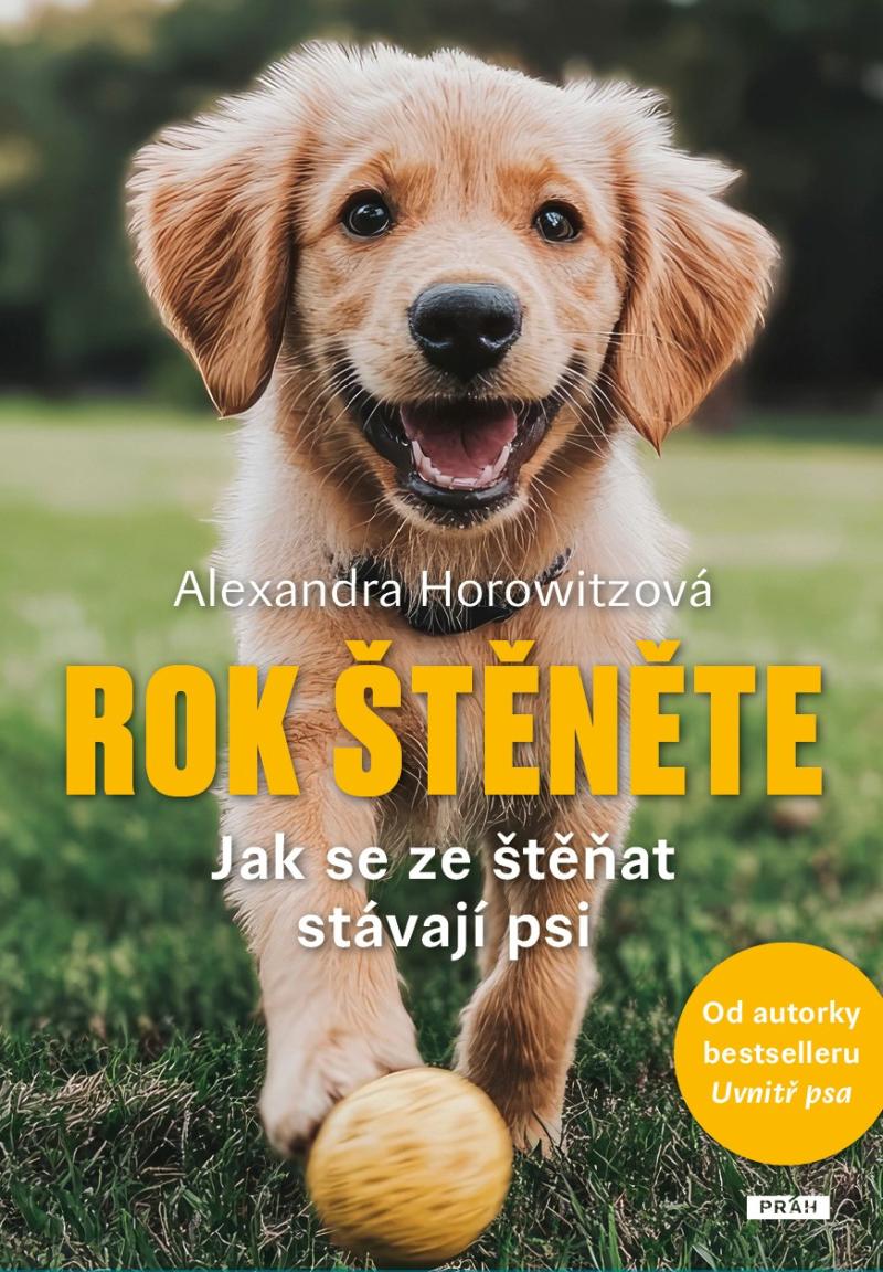 Obrázok Rok štěněte - Jak se ze štěňat stávají psi