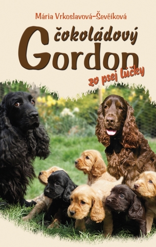 Obrázok Čokoládový Gordon zo psej lúčky