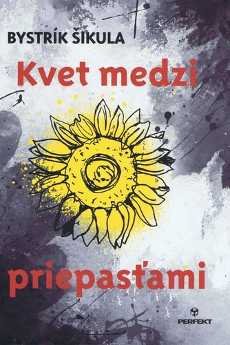 Obrázok Kvet medzi priepasťami