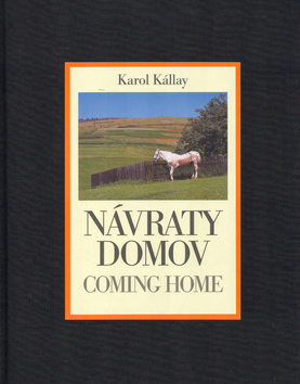 Obrázok Návraty domov / Coming Home