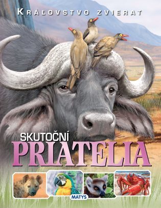 Obrázok Kráľovstvo zvierat: Skutoční priatelia