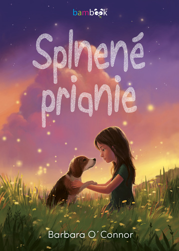 Obrázok Splnené prianie