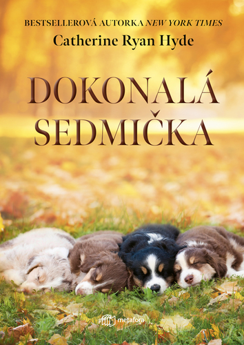 Obrázok Dokonalá sedmička