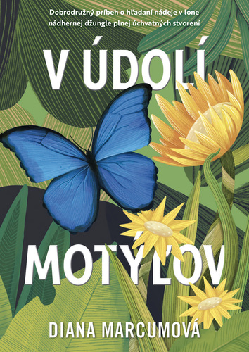 Obrázok V údolí motýľov