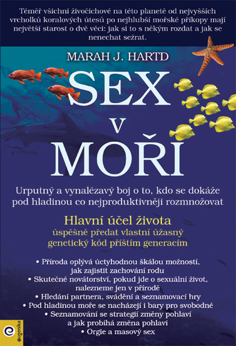 Obrázok Sex v moři