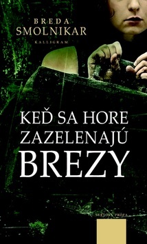Obrázok Keď sa hore zazelenajú brezy