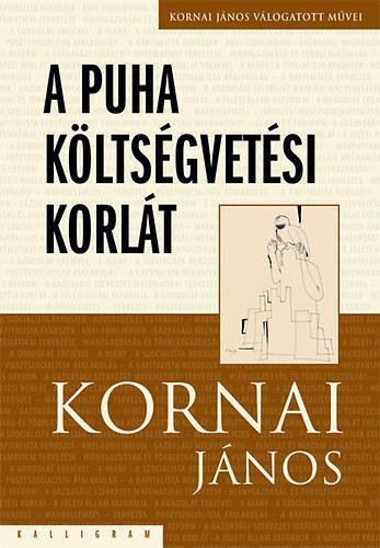 Obrázok A puha költségvetési korlát