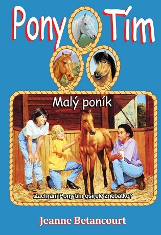 Obrázok Malý poník (séria Pony tím 8)