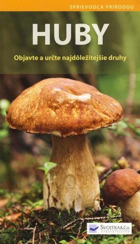 Obrázok Huby - Objavte a určte najdôležitejšie druhy