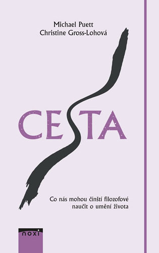 Obrázok Cesta CZ