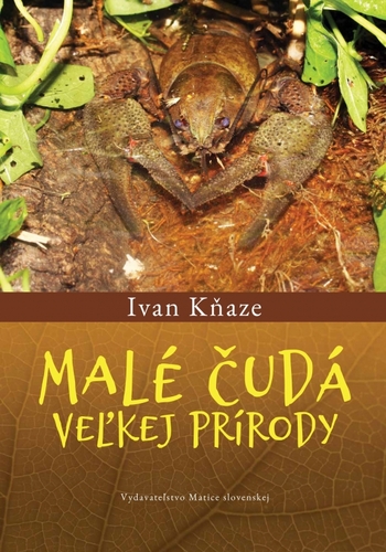 Obrázok Malé čudá veľkej prírody