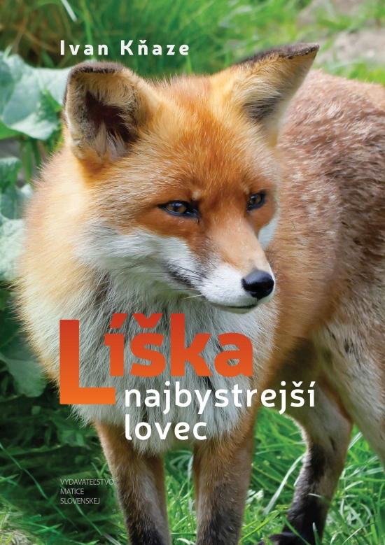 Obrázok Líška – najbystrejší lovec