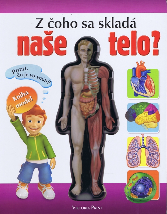 Obrázok Z čoho sa skladá naše telo ?