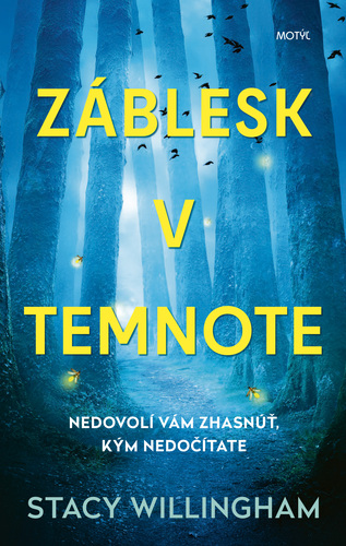 Obrázok Záblesk v temnote