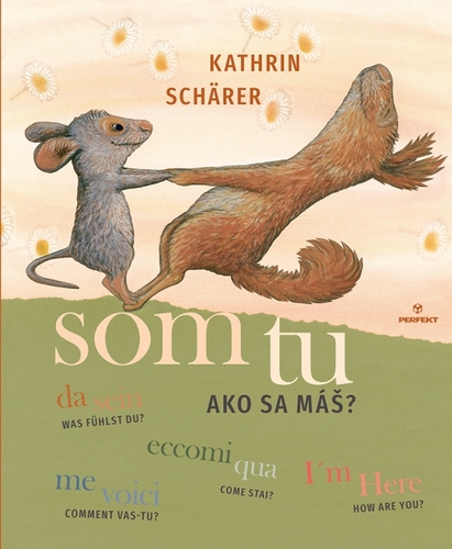 Obrázok Som tu Ako sa máš