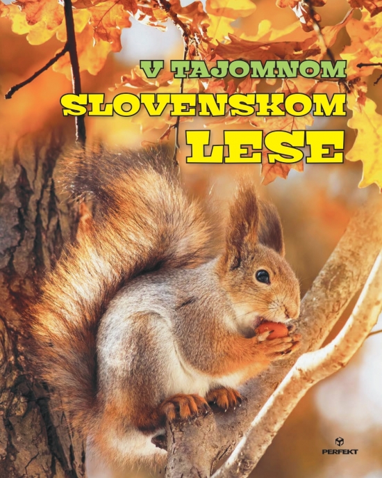 Obrázok V tajomnom slovenskom lese