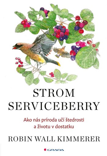 Obrázok Strom Serviceberry