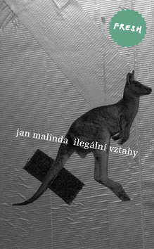Obrázok Ilegální vztahy