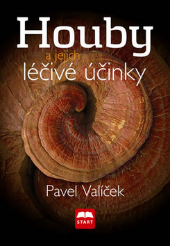 Obrázok Houby a jejich léčivé účinky