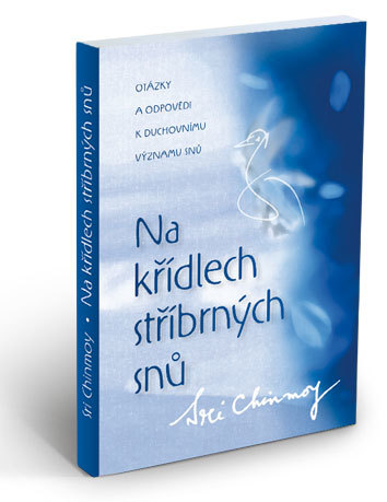 Obrázok Na křídlech stříbrných snů