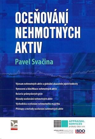 Obrázok Oceňování nehmotných aktiv