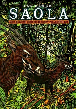 Obrázok Saola