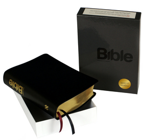 Obrázok BIBLE překlad 21. století - pravá kůže