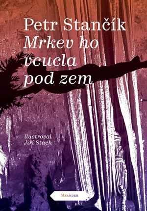Obrázok Mrkev ho vcucla pod zem