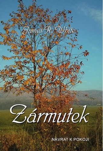 Obrázok Zármutek