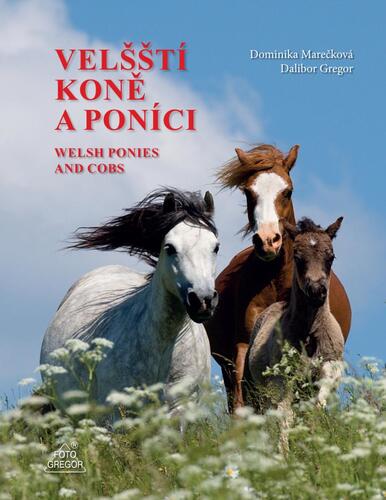 Obrázok Velšští koně a poníci / Welsh Ponies and Cobs