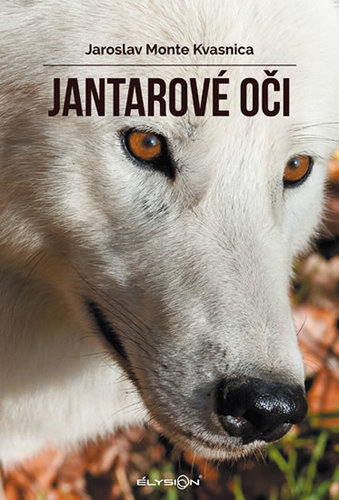 Obrázok Jantarové oči