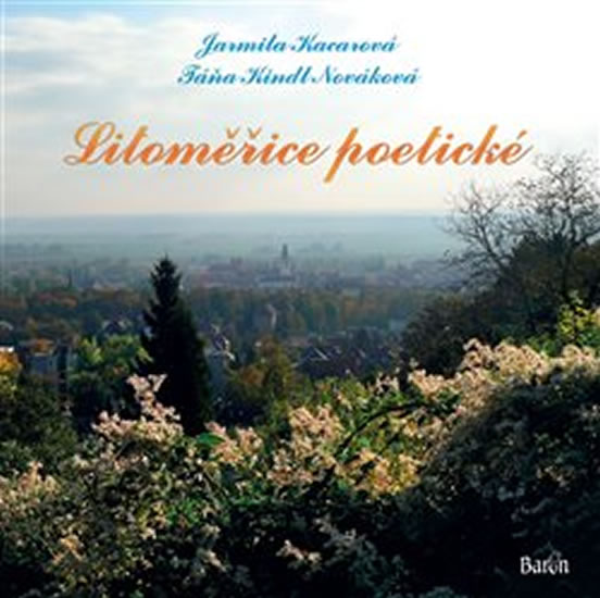Obrázok Litoměřice poetické