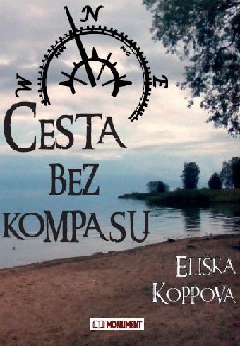 Obrázok Cesta bez kompasu