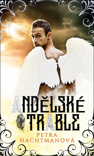 Obrázok Andělské trable