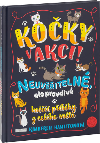 Obrázok Kočky v akci! - Neuvěřitelné kočičí příb