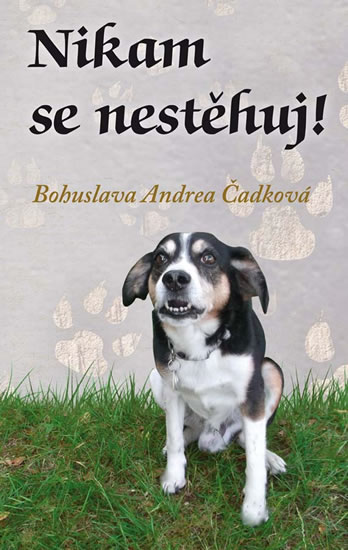 Obrázok Nikam se nestěhuj!