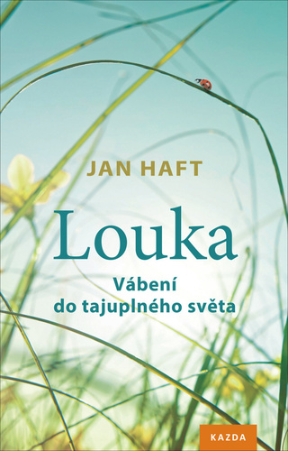 Obrázok Louka - Vábení do tajuplného světa