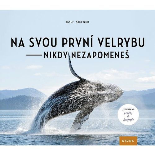 Obrázok Na svou první velrybu - nikdy nezapomene